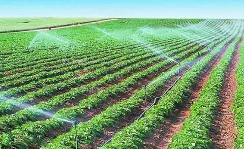 美女bbbb农田高 效节水灌溉